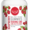 WYLD RASPBERRY GUMMIES