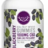 WYLD BLACKBERRY GUMMIES
